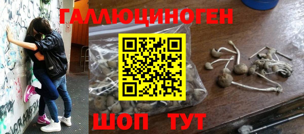 Комсомольск-на-Амуре  Галлюциногенные грибы Cubensis  Вход с VPN 